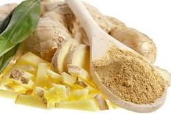 ginger-zingiber-officinale-250x250